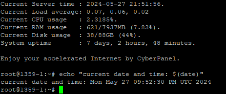 echo command date & time