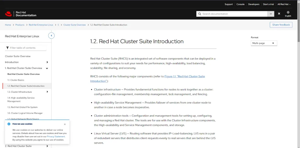 Red Hat Cluster Suite